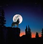 Image result for Good Night Wolves