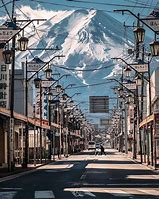 Image result for Fuji Street Snow