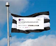 Image result for Straight Flag Memes