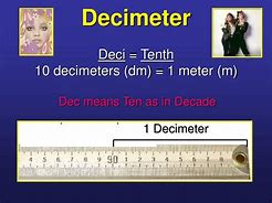Image result for How Big Is a Decimeter