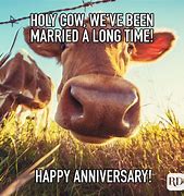 Image result for Happy Anniversary Meme