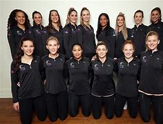 Image result for Silver Ferns Netball Team