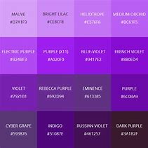 Image result for Purple Ink Color