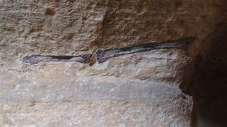 Image result for Pink Fossil of Petra