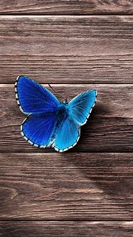 Image result for Butterfly Wallpaper for iPhone