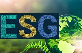 Image result for Future Factory ESG