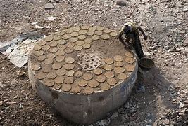 Image result for Cow Dung Fuel