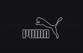 Image result for Puma Sportswear Brand