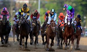 Image result for Derby Horse Racing