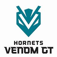 Image result for Hornets Team Logo