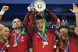 Image result for 2016 uefa european championship