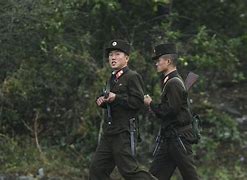 Image result for Korean Border Hopper