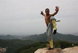 Image result for Tigerstyle Kung Fu Stances