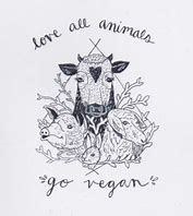 Image result for Vegan Person