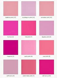 Image result for Pink Shades Color Paint