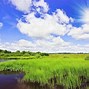 Image result for Beautiful Sunny Day Desktop Wallpaper