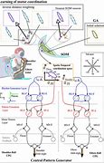 Image result for Robot Drawing