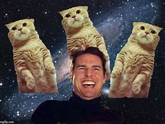 Image result for cats memes template