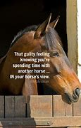 Image result for Cute Horse Quotes