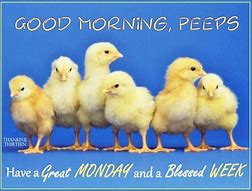 Image result for Monday Morning Work You Are Awesome