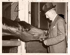 Image result for Charles Howard Seabiscuit