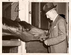 Image result for Sea Biscuit Next to War Admiral