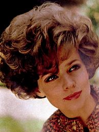 Image result for 60s Hair