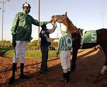 Image result for Largest Horse Jockey