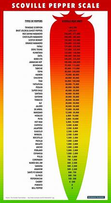 Here S The Scientific Scale Used To Classify Spicy Food