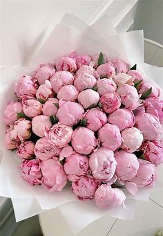 Pin by Eva on flowers | Flower arrangements, Flowers bouquet gift, Peonies and hydrangeas