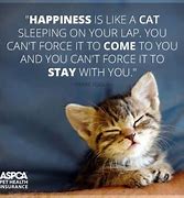 Image result for My Cat Quotes