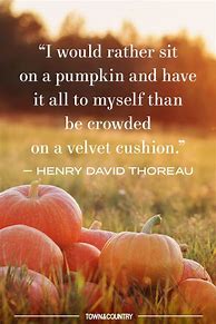 Image result for Pumpkin Patch Quotes