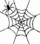 Image result for Spider Web Drawing