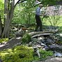 Image result for Types of Moss Ground Cover