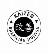 Image result for Jiu Jitsu Kaizen Manga Box Set English
