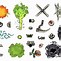 Image result for Dnd Blank Token