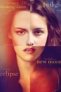 Image result for Twilight Saga Breaking Dawn Part 1 Honeymoon