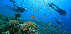 isola suprema marsa alam le immersioni subacquee di andrea isola suprema marsa alam le immersioni subacquee di andrea