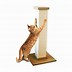 Image result for Best Cat Scratch Post