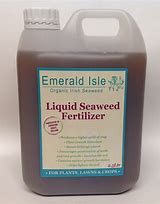 Image result for Liquid Seaweed Fertilizer