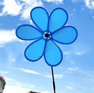 Image result for Dutch Windmill Flower