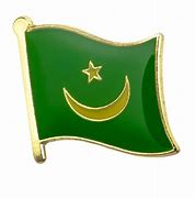 Image result for Mauritanian Flag Pin