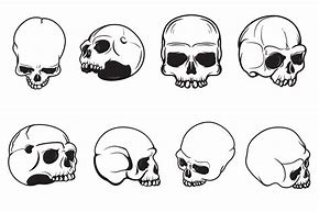 Image result for Skull Illustration