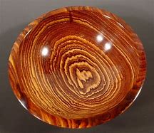Image result for cocobolo