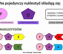 Image result for co_oznacza_zasady_purynowe