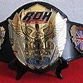 Image result for ROH World Television Championship PNG
