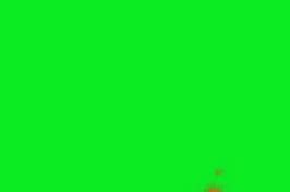 Image result for VHS Greenscreen GIF