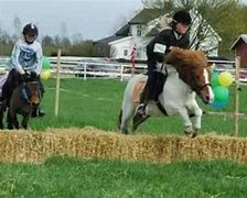 Image result for Pony Race