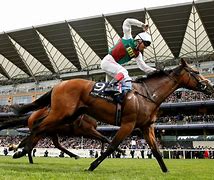 Image result for London Ascot Racing