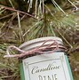Image result for Scented Candles